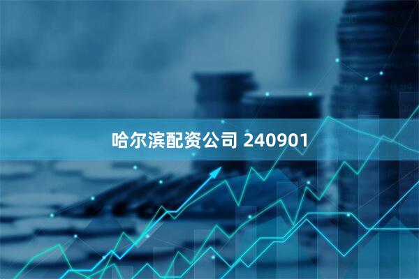 哈尔滨配资公司 240901
