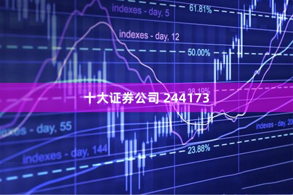 十大证券公司 244173